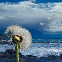God And The Wild Wind
