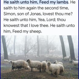 lovest-thou-me-feed-my-lambs