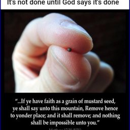 and-when-he-saw-their-faith