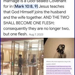 the-marriage-covenant