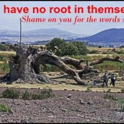 no-root-in-themselves