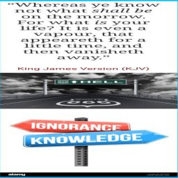 inexcusable-ignorance