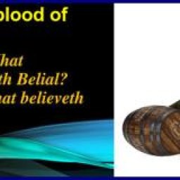 drunken-with-blood-of-saints