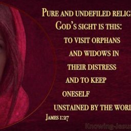 pure-religion-undefiled-before-god