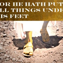 for-he-hath-put-all-things-under-his-feet
