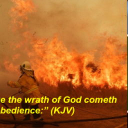 the-children-of-disobedience