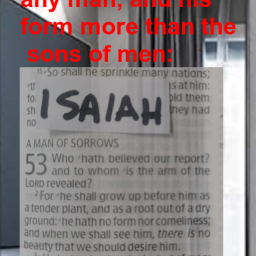 visage-marred-more-than-the-sons-of-men
