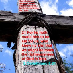 in-him-is-no-sin