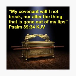 new-covenant-is-written-on-our-hearts