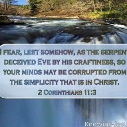 the-simplicity-of-the-gospel