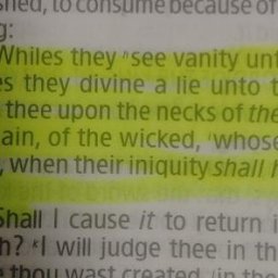 whiles-they-see-vanity