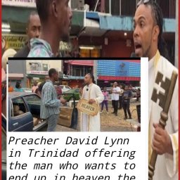 david-lynn-the-ticket-to-trinidadian