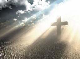 GET OUT OF THE SALT SHAKER