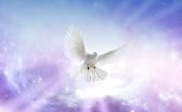 JESUS SHARED HIS FATHER'S GLORY, BY ANDREW WOMMACK MINISTRIES