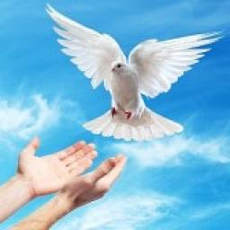 GOD WILL MEET YOU WHERE YOU ARE