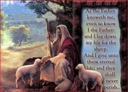 RECEIVING CHRIST BY ANDREW WOMMACK