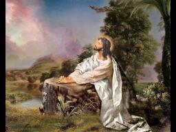 SEPARATING THE TARES FROM THE WHEAT BY ANDREW WOMMACK