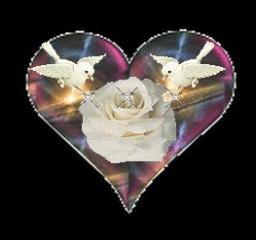 OUR HEARTS CONTROL OUR BODIES BY ANDREW WOMMACK