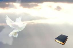 THE MINISTRY OF THE HOLY SPIRIT BY ANDREW WOMMACK