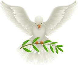 DO YOU HAVE PEACE