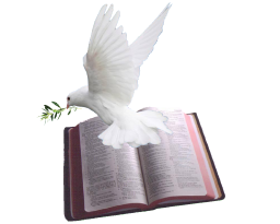 RECOGNIZE THE REAL ENEMY BY ANDREW WOMMACK