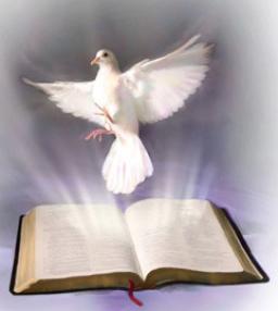 ARE YOU USING YOUR FAITH