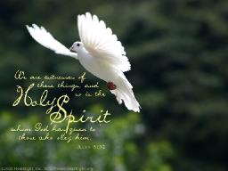 HOLY GHOST TEACHER BY ANDREW WOMMACK