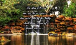 EFFORTLESS FRUIT BY ANDREW WOMMACK