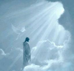 MYSTERY OF THE TRINITY BY ANDREW WOMMACK