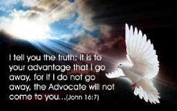 ARE YOU DOING THE WILL OF GOD?