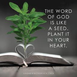 ARE WE "THE WORD"?