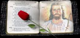 TEACH THE WORD