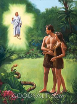 THE WAGES OF SIN
