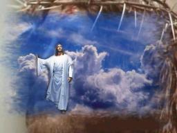 WHY WERE YOU CREATED?