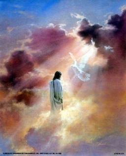 BE FILLED BY ANDREW WOMMACK