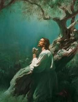 NO EXCUSES BY ANDREW WOMMACK