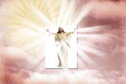 WALK IN THE LIGHT BY ANDREW WOMMACK