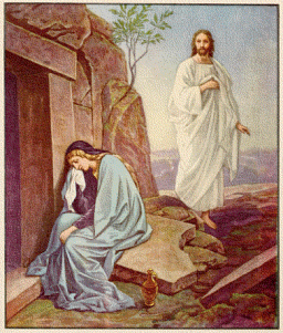 OUR RESURRECTED BODIES BY ANDREW WOMMACK