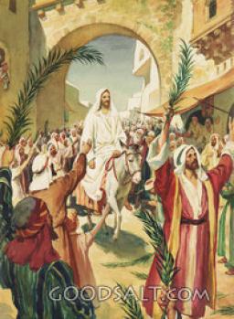 THE MIRACLE OF THE DONKEY AND COLT BY ANDREW WOMMACK