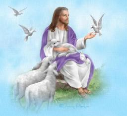 GOD'S NEW CREATION BY ANDREW WOMMACK