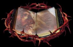 WHY CAN'T THEY BELIEVE?