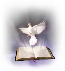 TEST THE GIFTS OF THE SPIRIT BY ANDREW WOMMACK