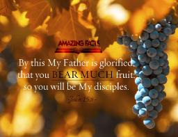 OUR LIFE IS IN HIM BY ANDREW WOMMACK