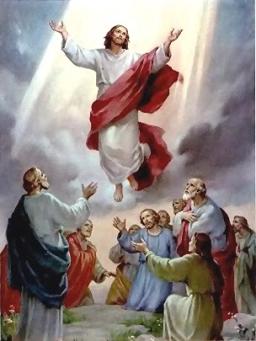 EMBRACE THE HOLY SPIRIT BY ANDREW WOMMACK