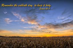 THE TRUE MEANING OF THE SABBATH BY ANDREW WOMMACK