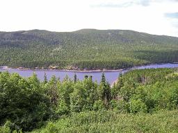 Time is growing short