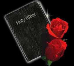 DON'T ARGUE ABOUT THE BIBLE
