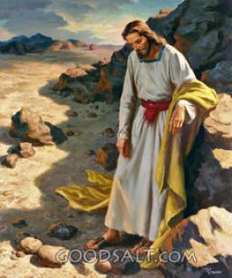 KNOWING WHO WE ARE BY ANDREW WOMMACK