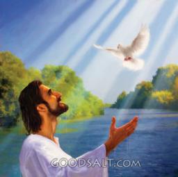 WE HAVE A TRIUNE GOD