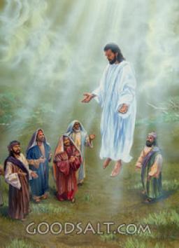 MORE THAN JUST WORDS BY ANDREW WOMMACK